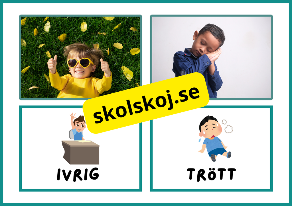 Flashkort - Känslor