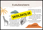 Grundläggande evolution - Årskurs 6 - 9