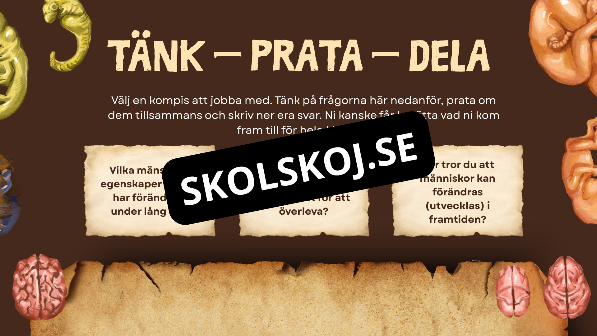 Människans utveckling - Fakta - Presentation - Frågor