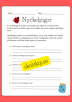 Enkel läsförståelse - Tema insekter