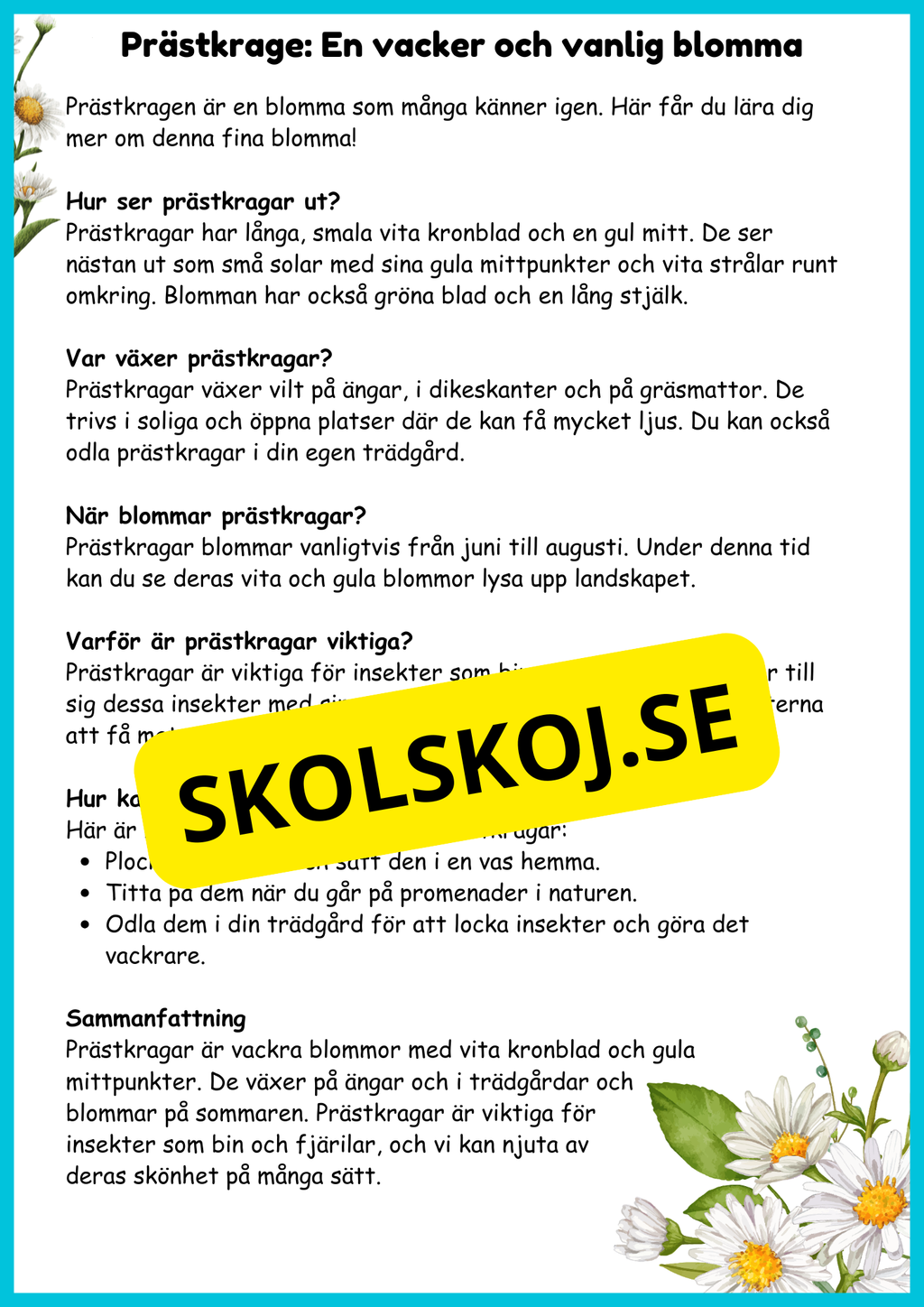 En liten sommarbok - årskurs 2 - 3 - Häfte