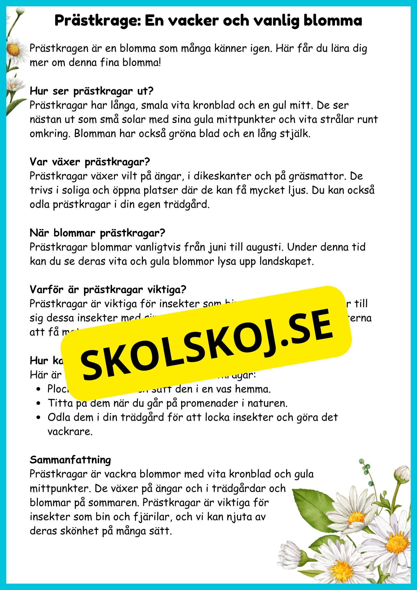 En liten sommarbok - årskurs 2 - 3 - Häfte