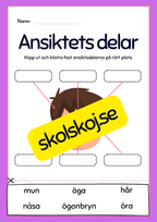 Kroppsdelar – vad heter de - Häfte