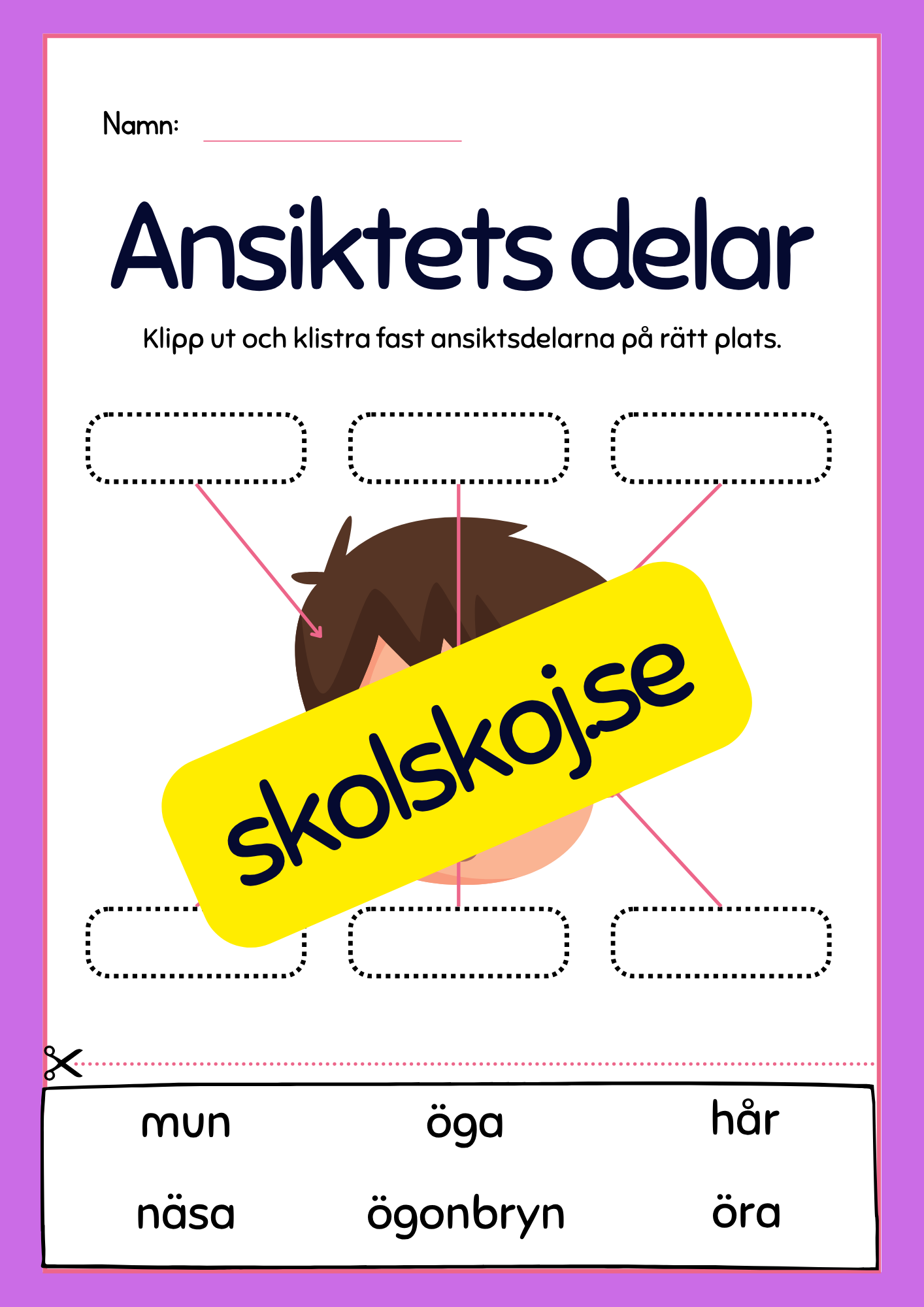 Kroppsdelar – vad heter de - Häfte