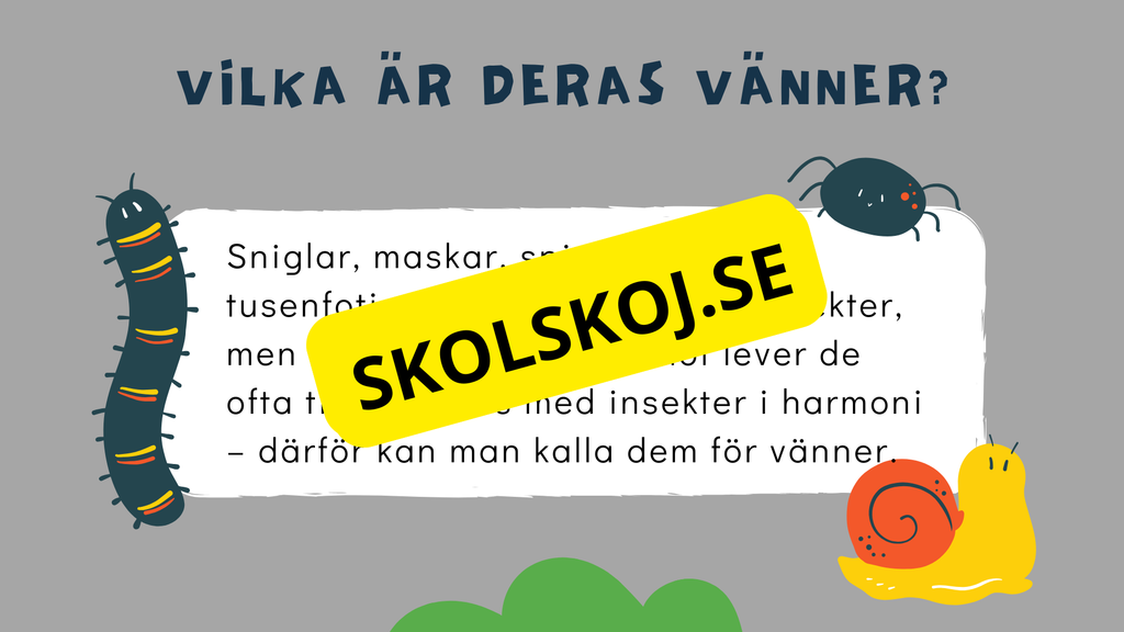Upptäck insekternas värld - Häfte