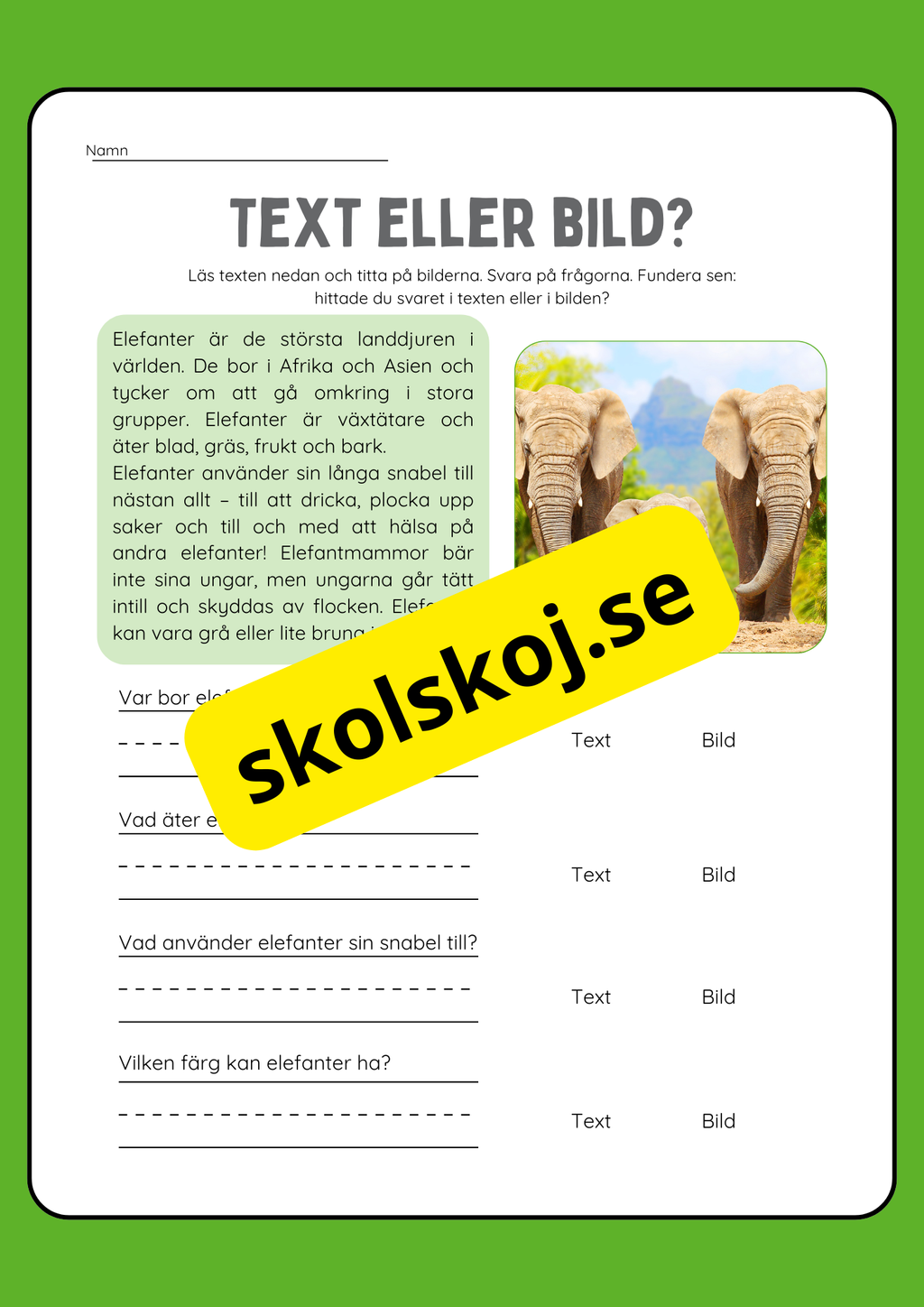 Text eller bild - Läsförståelse