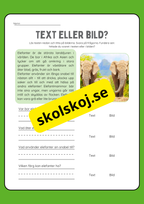 Text eller bild - Läsförståelse