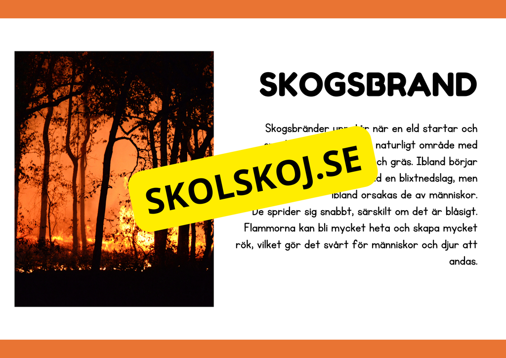 Naturliga katastrofer - Läsförståelse