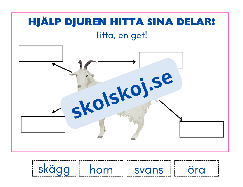 Hjälp djuren hitta sina delar - Häfte