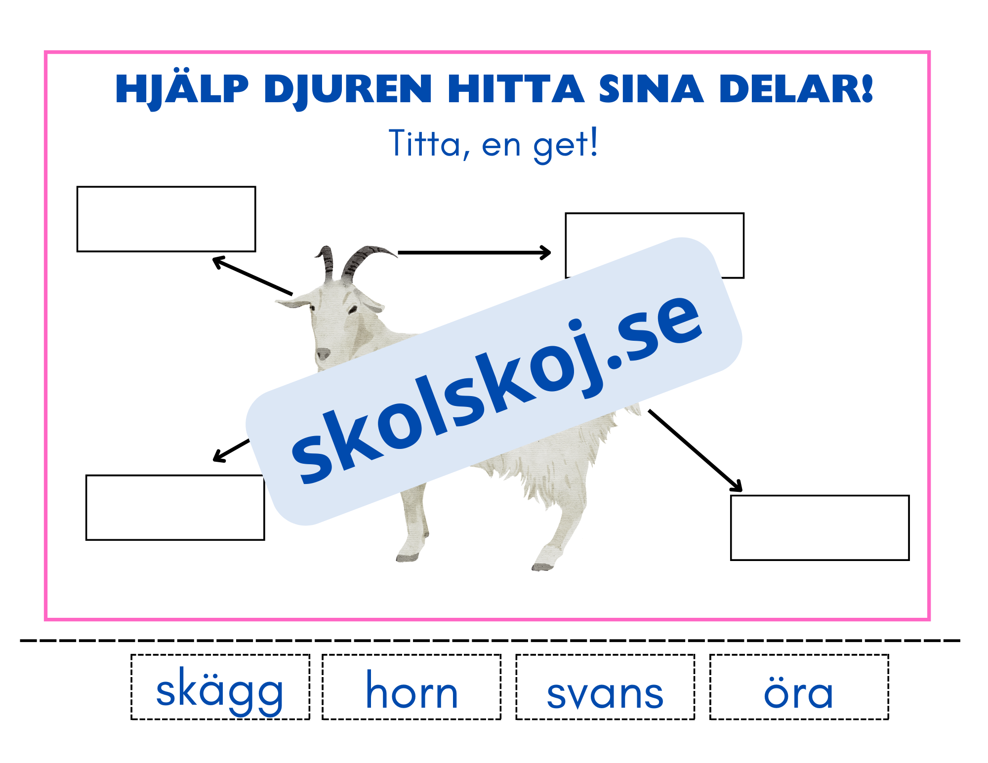 Hjälp djuren hitta sina delar - Häfte