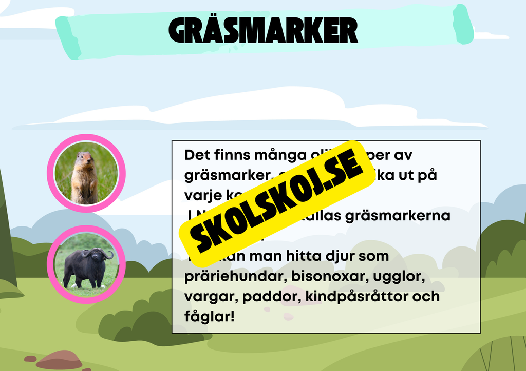 Kort fakta om naturmiljöer och djurens hem + frågor