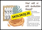 Grundläggande evolution - Årskurs 6 - 9