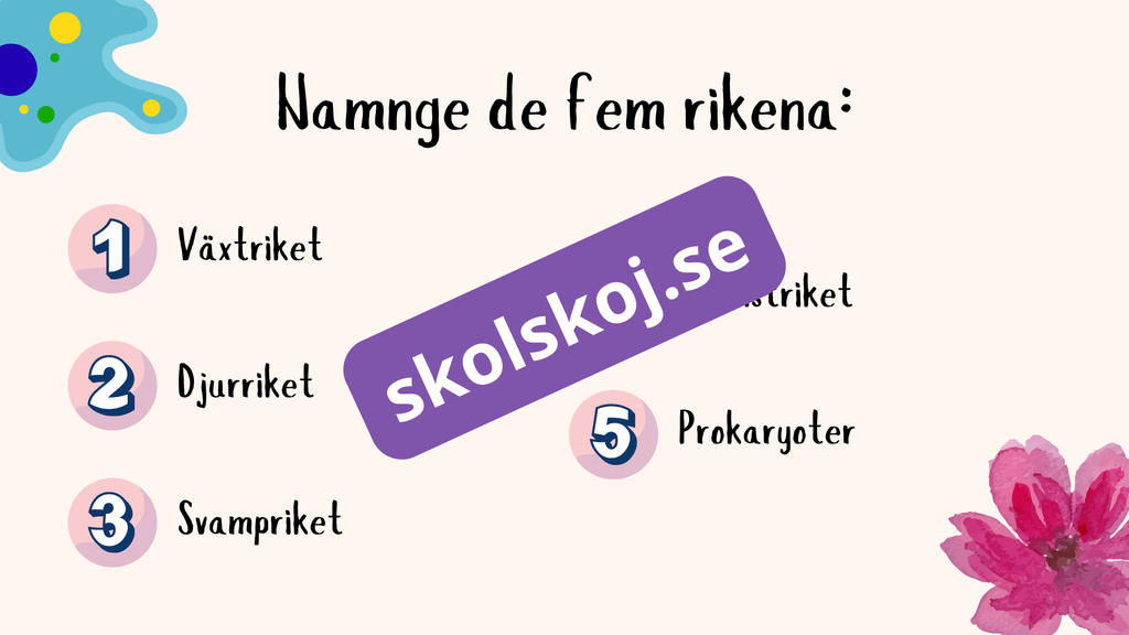 De fem rikena och deras egenskaper - Lektionsstöd och presentation
