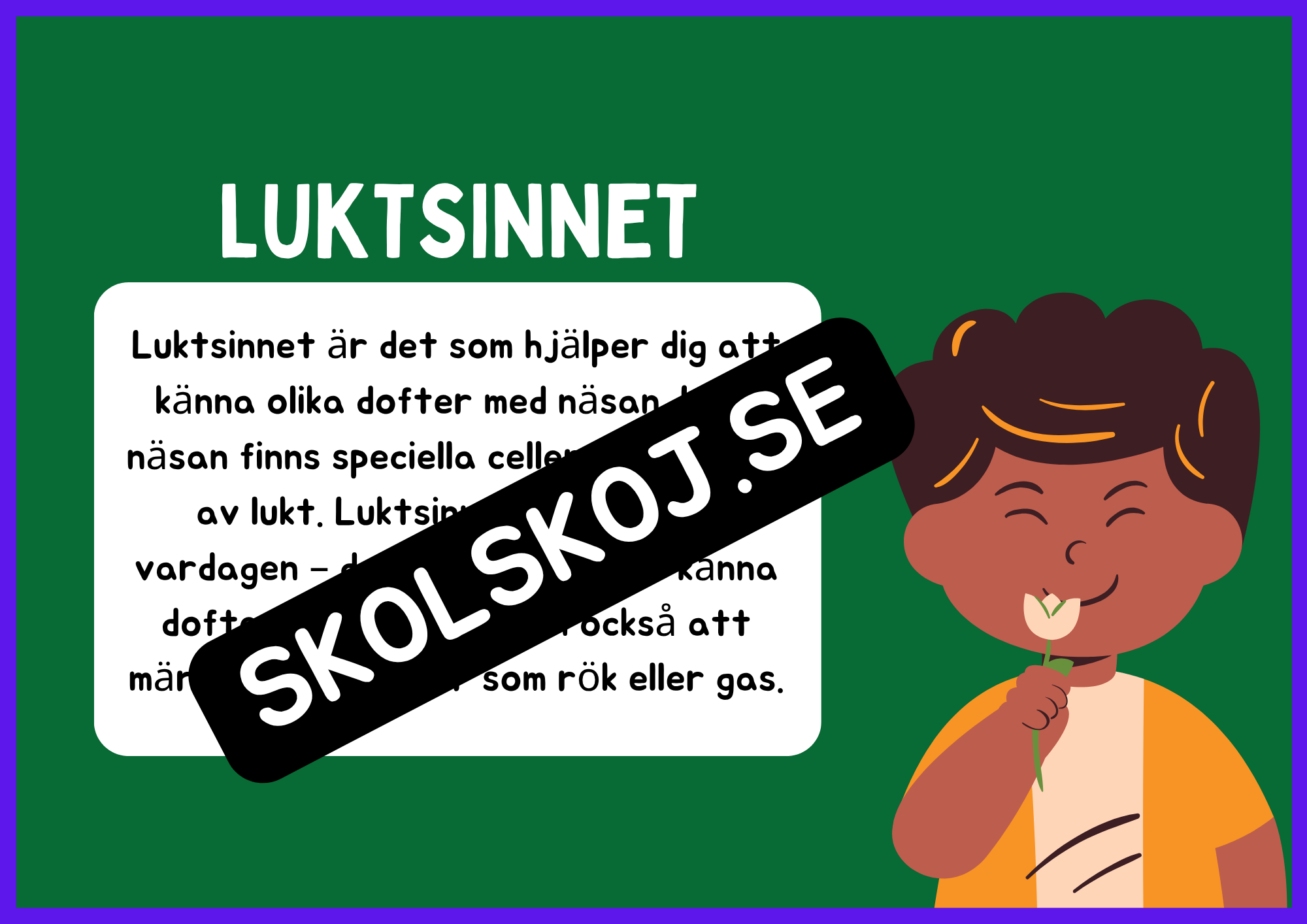 Luktsinne - Presentation + Frågor