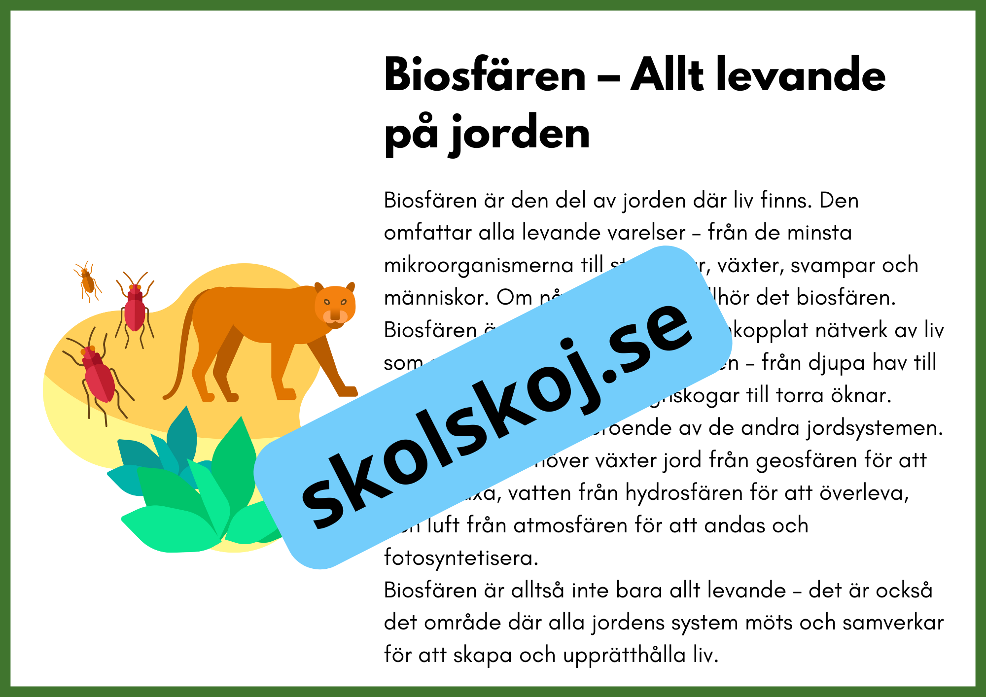 Utforska jordens system och processer