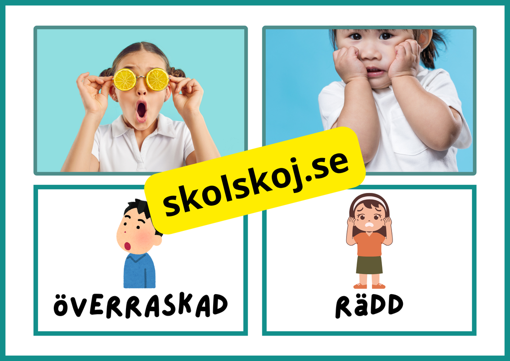 Flashkort - Känslor