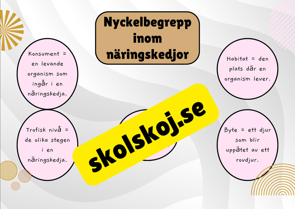 Näringskedjor - Ekosystem och livsmiljöer