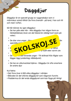 Klassificering av djur - Fakta och uppgifter - Åk 3 - 6