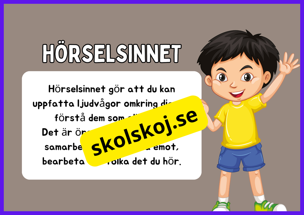 Hörsel - Presentation - Frågor