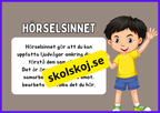 Hörsel - Presentation - Frågor
