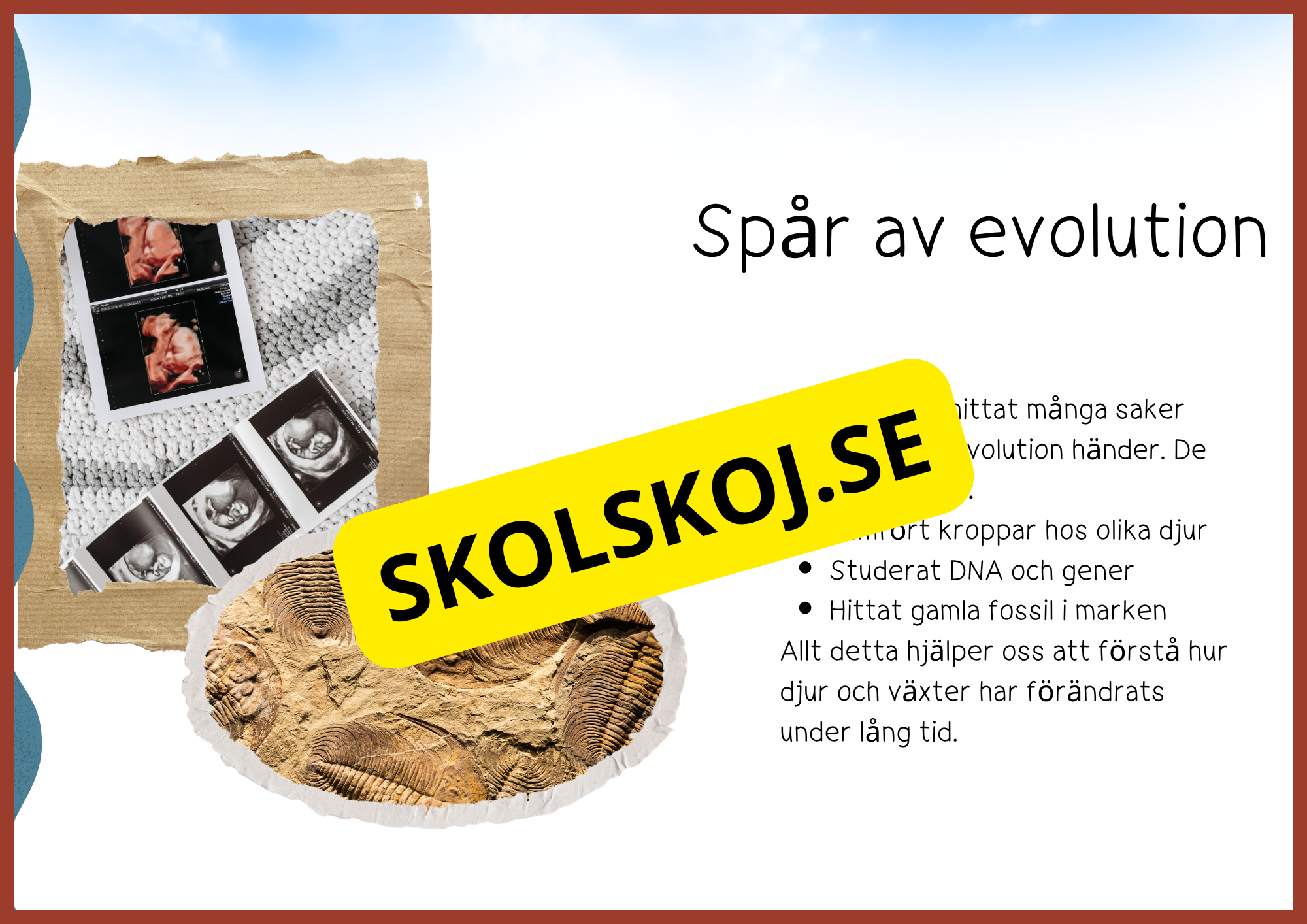 Evolution - Faktatext + frågor