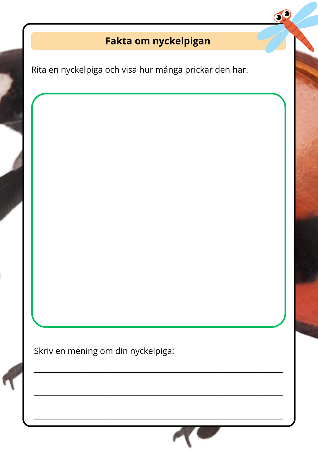Lilla boken om viktiga insekter - Årskurs 2 - 4