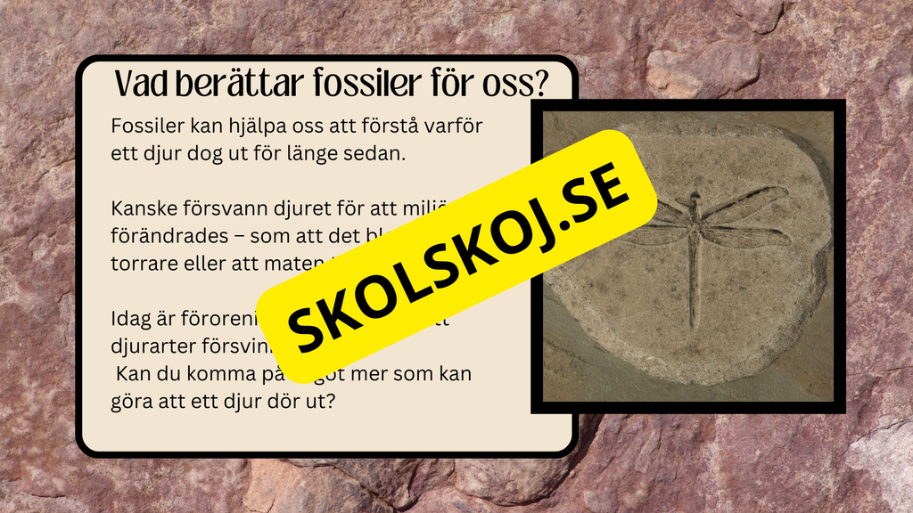 Fossiler - Åk 4 - 9