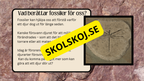 Fossiler - Åk 4 - 9