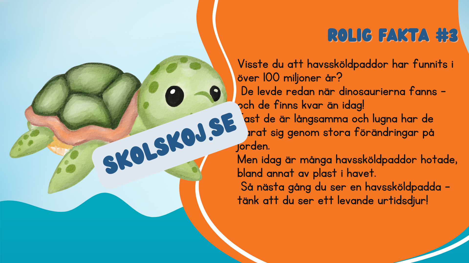 Roliga havsdjursfakta + roliga uppgifter