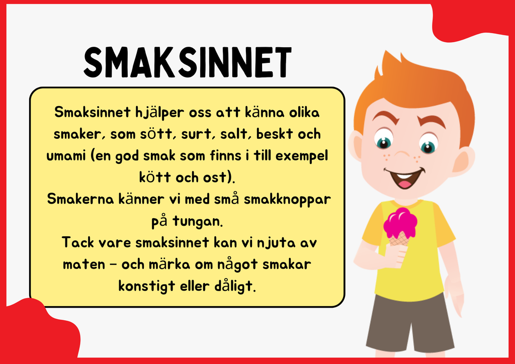 Smaksinnet - Presentation + Frågor (19 sidor)