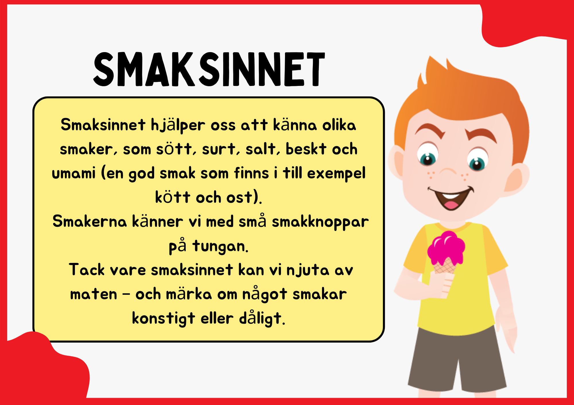 Smaksinnet - Presentation + Frågor (19 sidor)