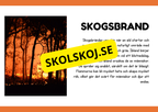 Naturliga katastrofer - Läsförståelse