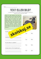 Text eller bild - Läsförståelse