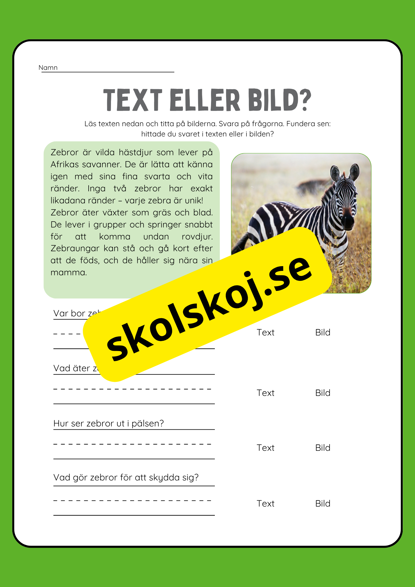 Text eller bild - Läsförståelse
