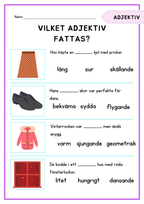 Vilket adjektiv fattas?
