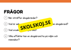 Naturliga katastrofer - Läsförståelse