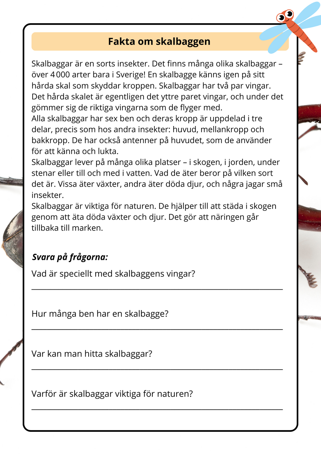 Lilla boken om viktiga insekter - Årskurs 2 - 4