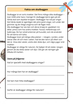 Lilla boken om viktiga insekter - Årskurs 2 - 4