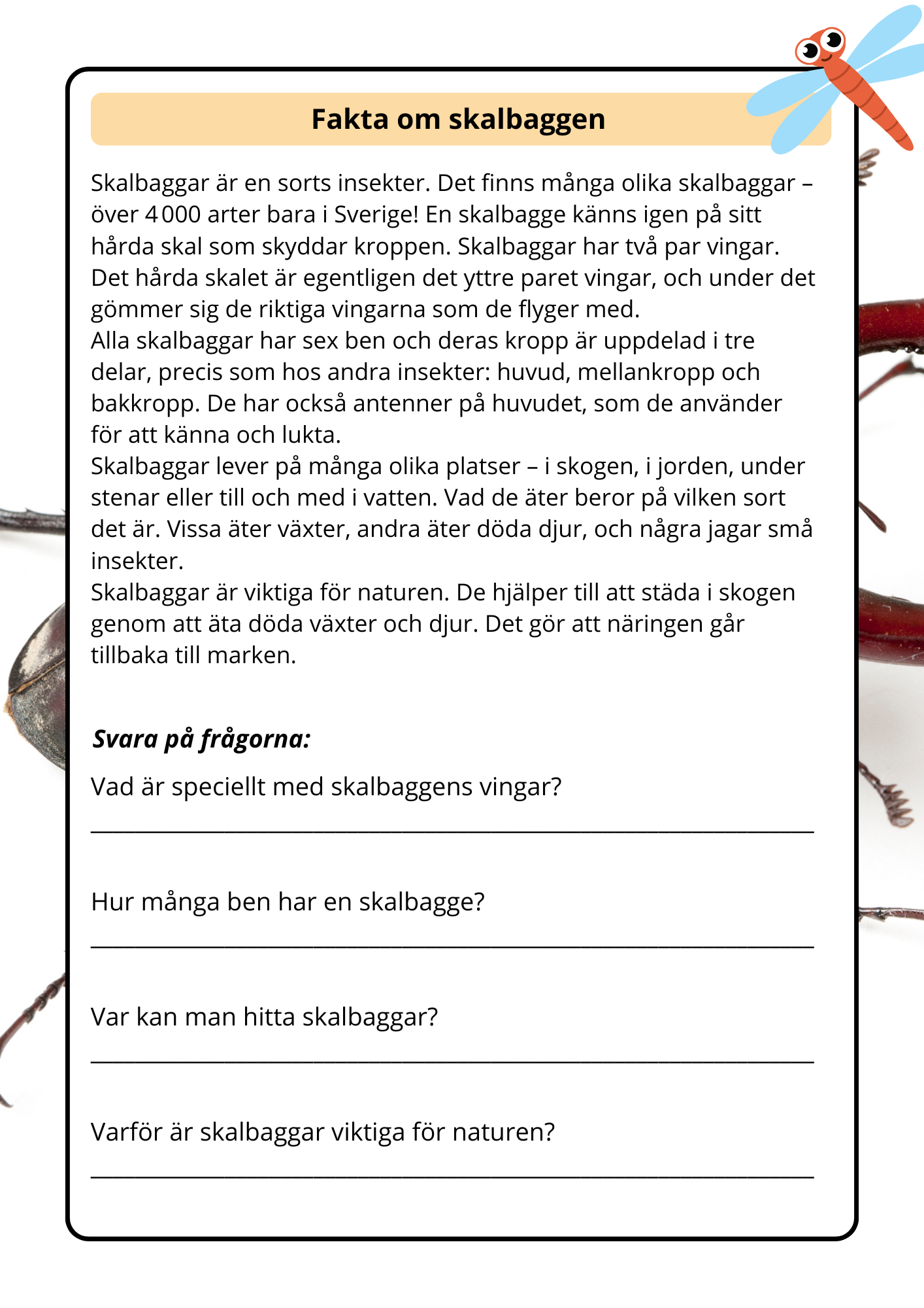 Lilla boken om viktiga insekter - Årskurs 2 - 4
