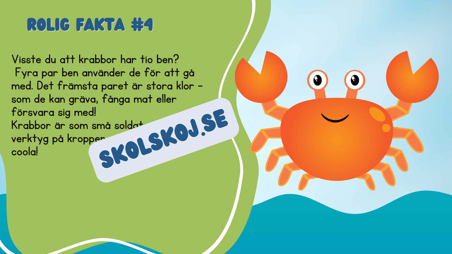 Roliga havsdjursfakta + roliga uppgifter