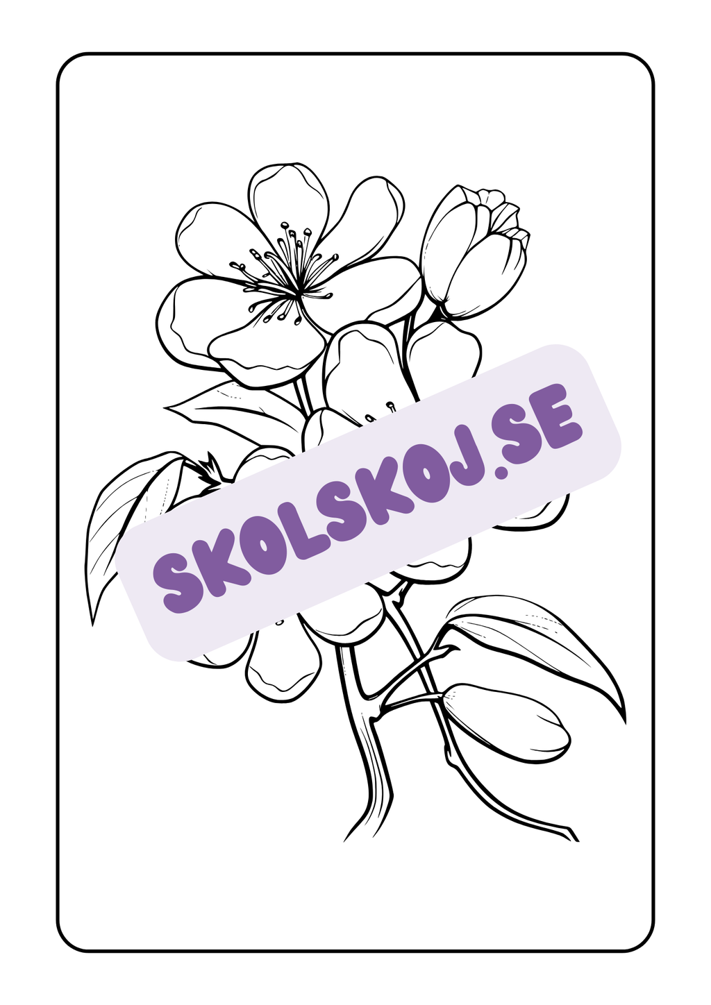 Blommor - Målarbok