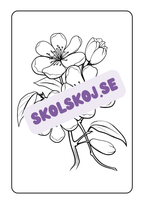 Blommor - Målarbok