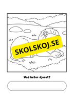 Vad heter djuret?