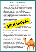 Djur och natur - Årskurs 4 - 6