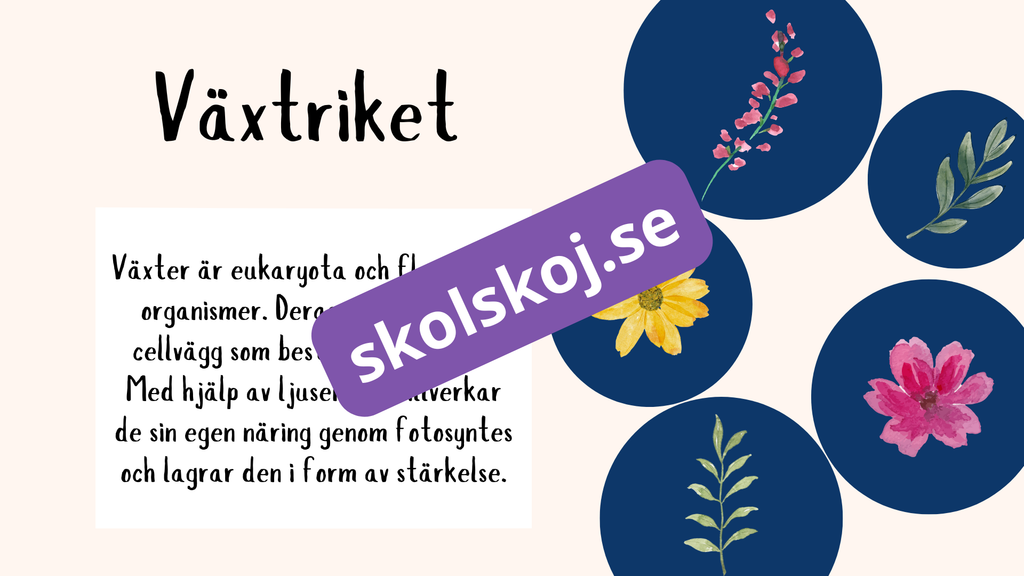 De fem rikena och deras egenskaper - Lektionsstöd och presentation