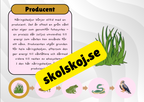 Näringskedjor - Ekosystem och livsmiljöer