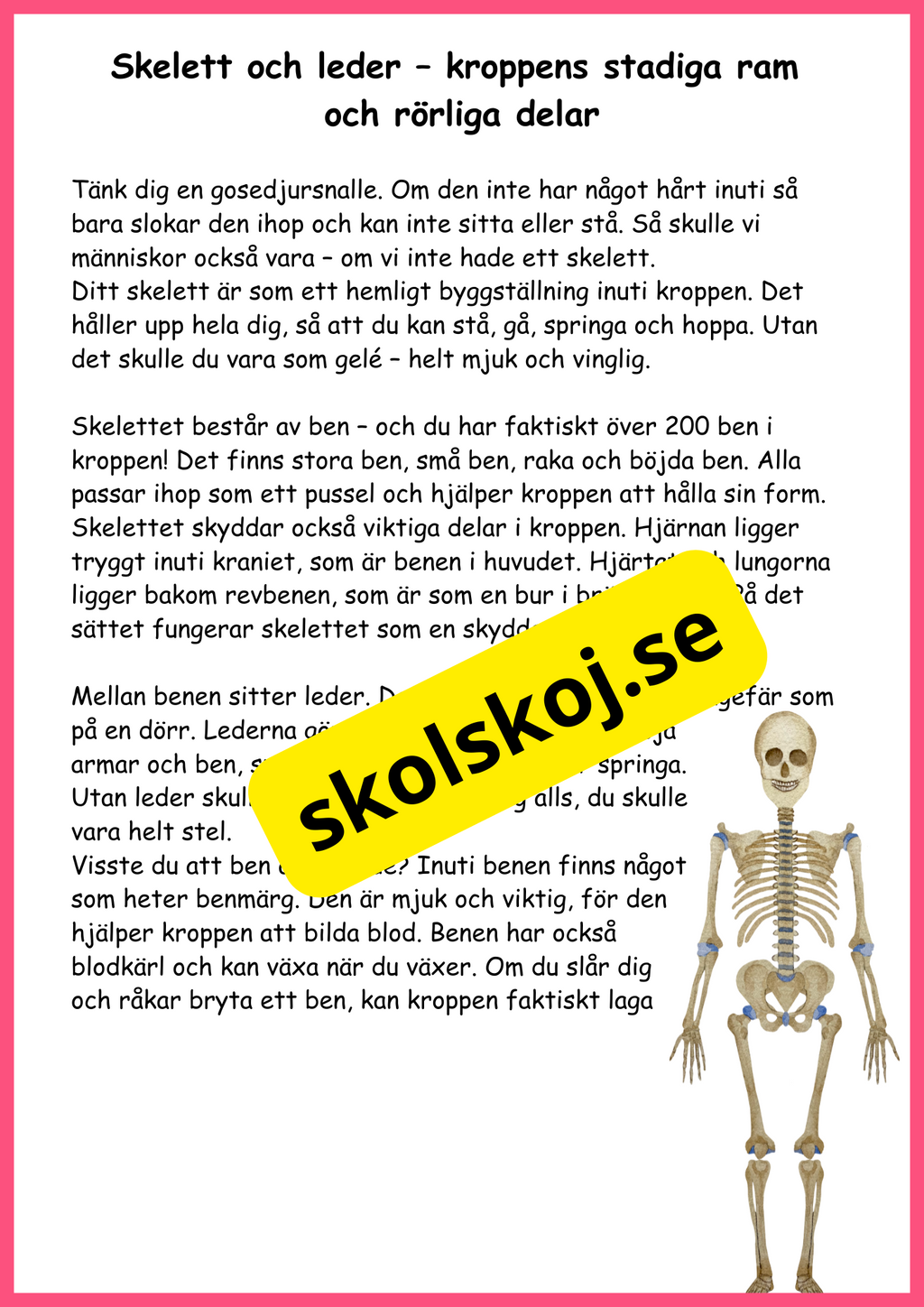 Utforska kroppen från topp till tå - Fakta + frågor - Årskurs 4 - 6