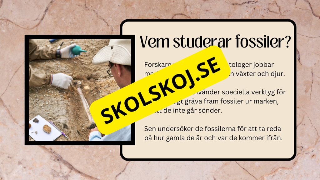 Fossiler - Åk 4 - 9