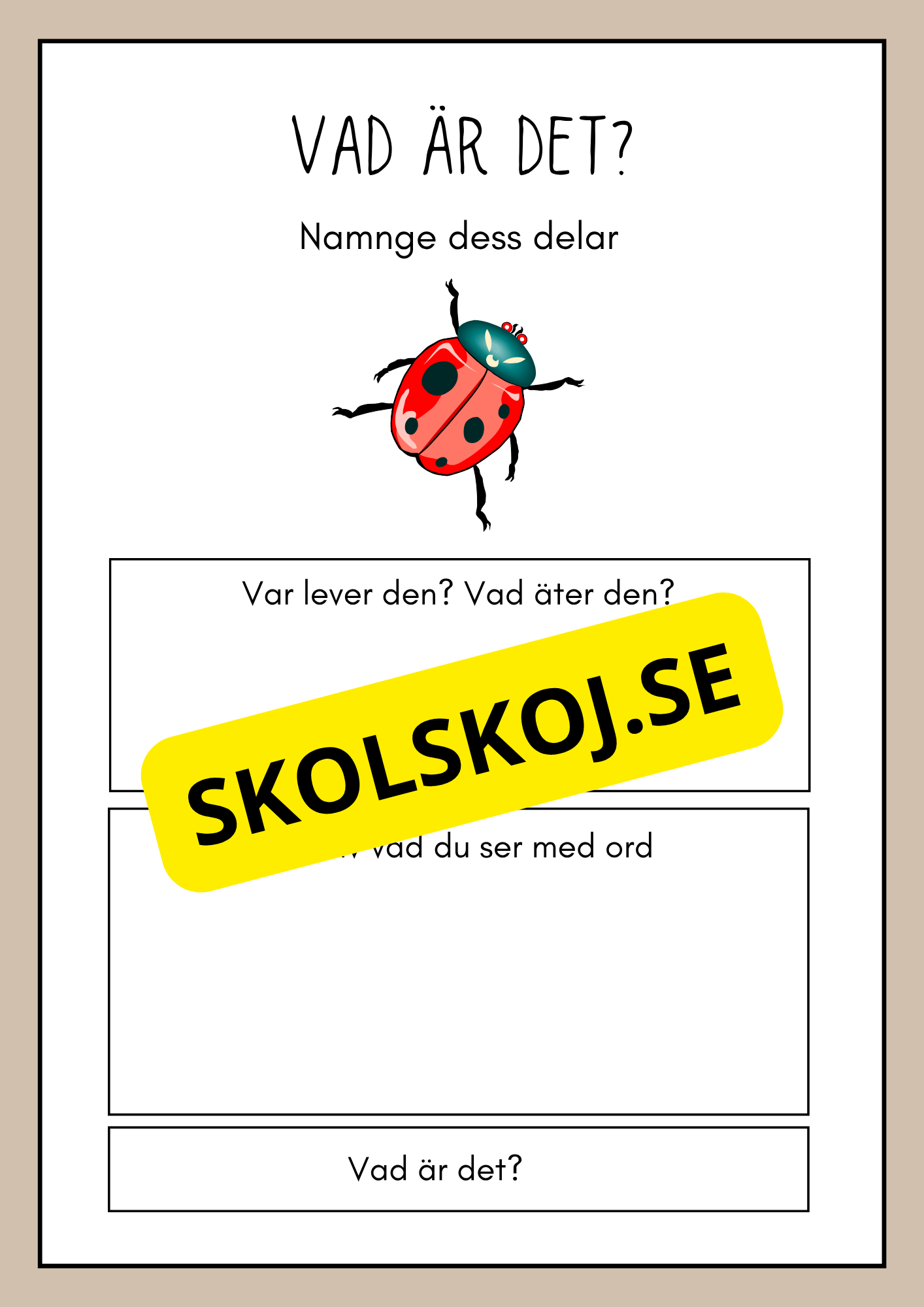 Vad är det? - Insekter - Faktabok