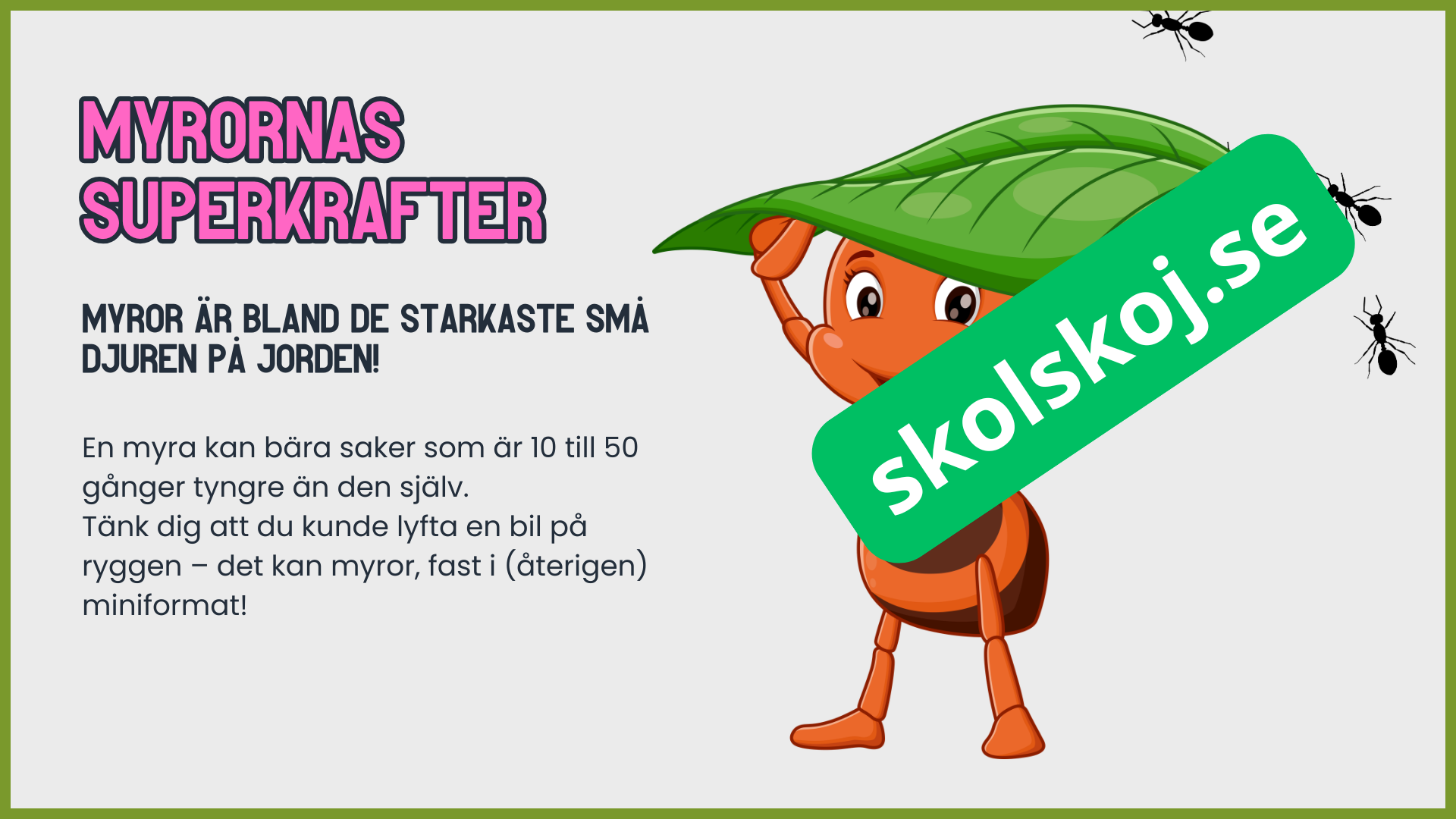 7 superroliga saker du inte visste om myror